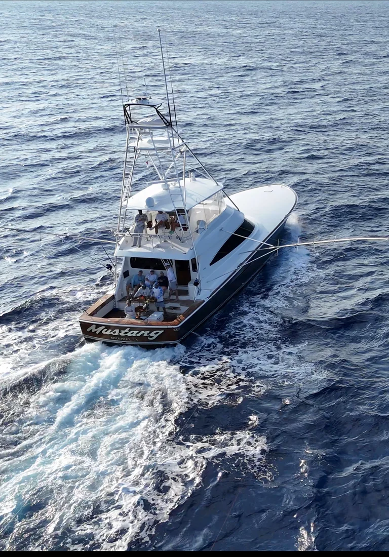 Image for team Mustang at the 2025 Bermuda Billfish Blast